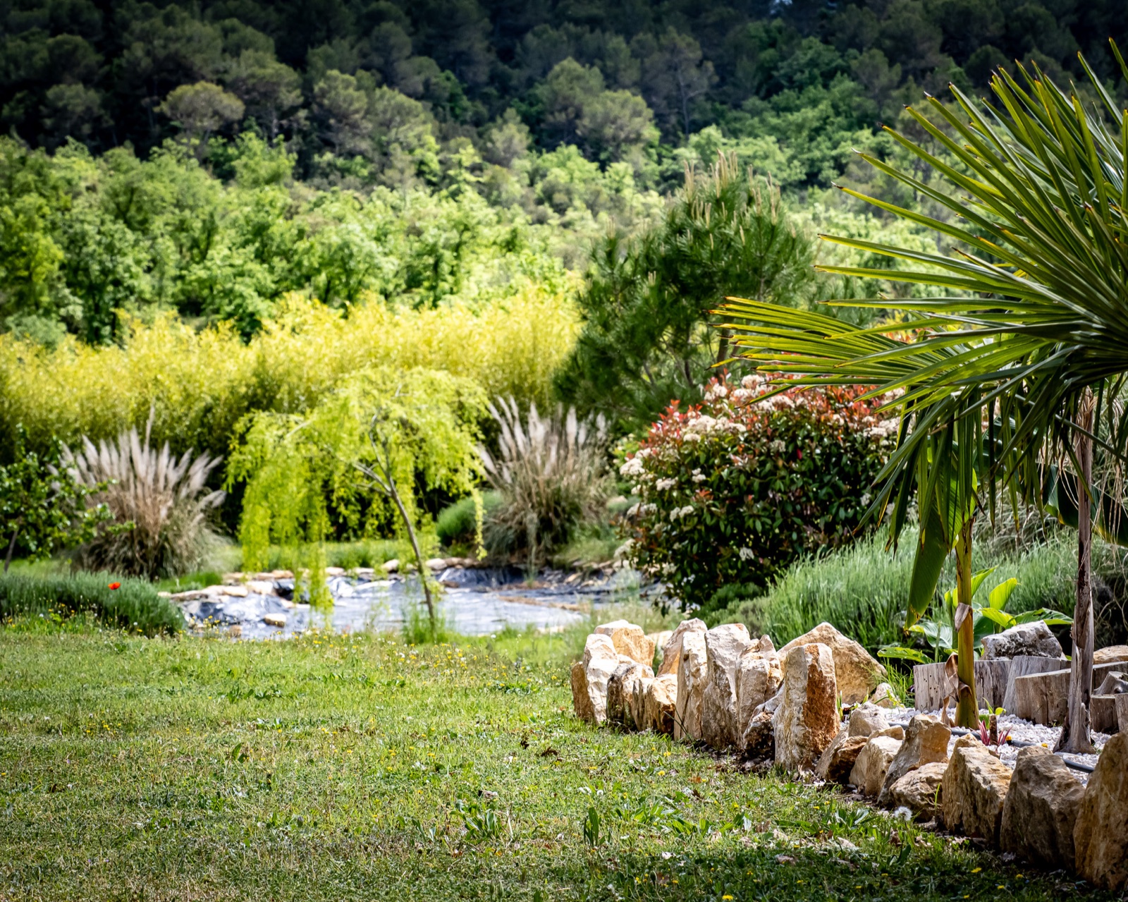 Le domaine