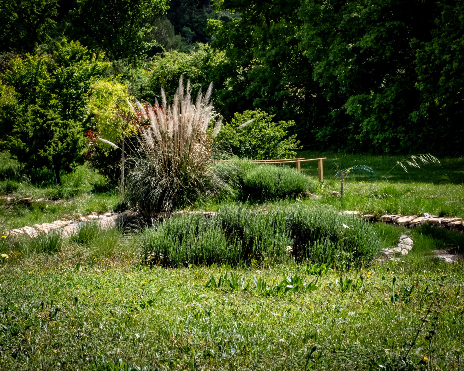 Le jardin et la lavande